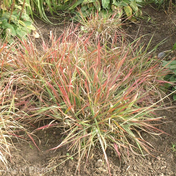 Awaiting product image