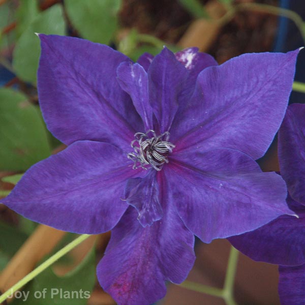 Awaiting product image