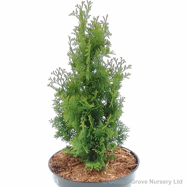 Awaiting product image