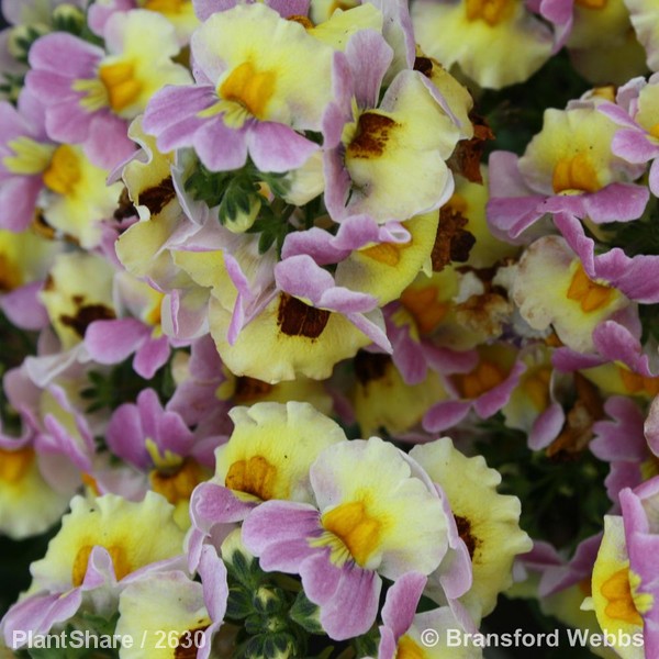 Awaiting product image